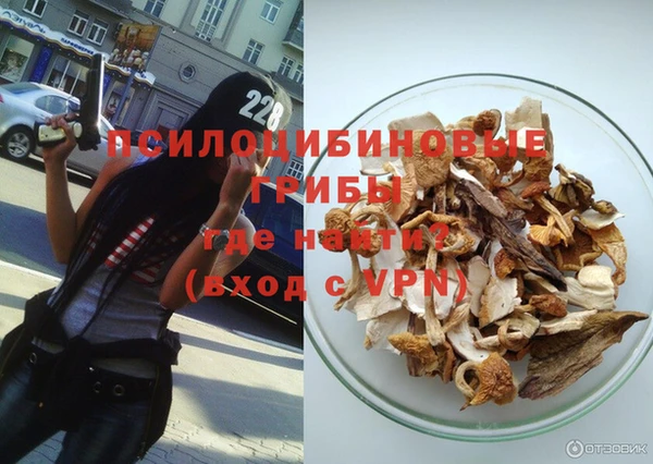 прущий лед Верея