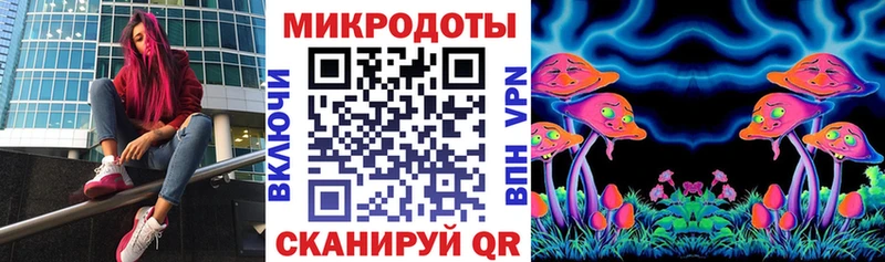 KRAKEN   Володарск  Псилоцибиновые грибы прущие грибы 